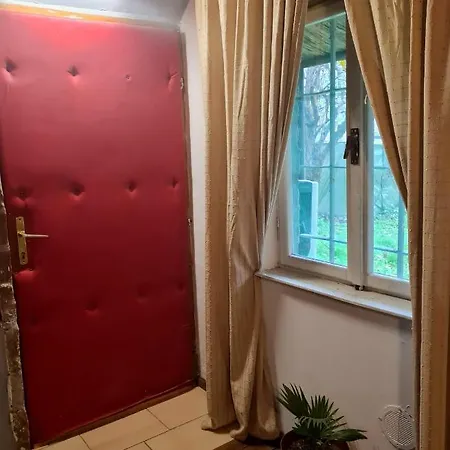 Roby & Ale Daire Belgrad Dış mekan fotoğraf