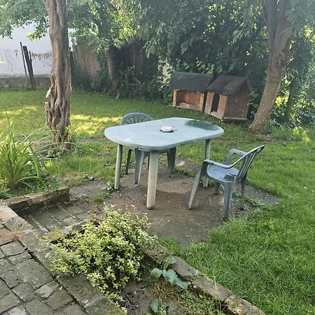 Roby & Ale Daire Belgrad Dış mekan fotoğraf